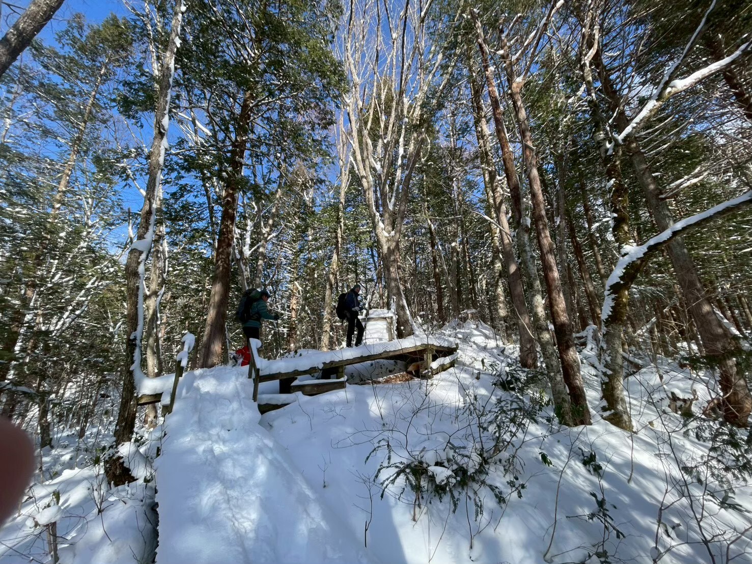 新穂高スノーシュー体験ツアー